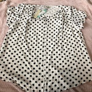 41 Hawthorne black polka dot top